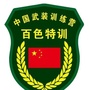 百色特训ico
