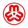 田阳妇联ico