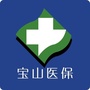 宝山医保ico