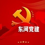 东河党建ico