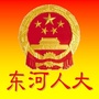 东河人大公众号ico