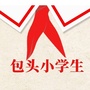 包头市小学生ico