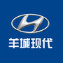 北京现代广东羊城店ico