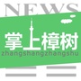 掌上樟树ico