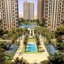 白杨街道东湾社区ico