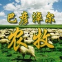 巴彦淖尔农牧ico