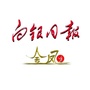 白银日报金凤副刊ico