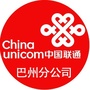 巴州联通ico