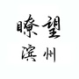 瞭望滨州ico