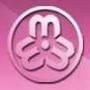 亳州木兰之声ico