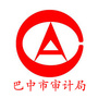 巴中审计ico
