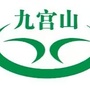 九宫山茶公众号ico