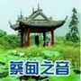 蔡甸之音公众号ico