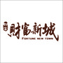财富新城ico
