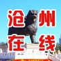 沧州在线ico