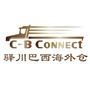 驿川巴西海外仓ico