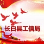 长白朝鲜族自治县工业和信息化局ico