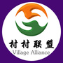 村村联盟ico