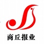 出彩商丘人ico
