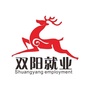 双阳就业ico