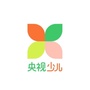 央视少儿ico