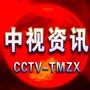 中视掌上资讯ico