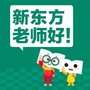 长春新东方小学全科教育ico