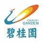 碧桂园与常德共成长ico