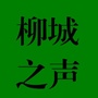 柳城之声ico