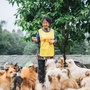 成都爱之家动物救助中心ico
