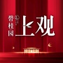 成都碧桂园上观ico