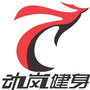 承德动岚健身ico