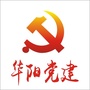 华阳党建ico