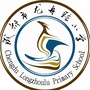 成都市龙舟路小学ico