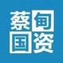 蔡甸国资局ico