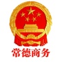 常德商务ico