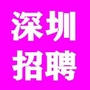 深圳市招聘信息ico