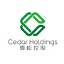 雪松控股ico