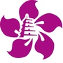 紫荆知产公众号ico