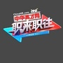 江苏卫视职来职往公众号ico