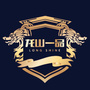 龙山一品ico