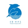 上海市长兴岛开发办公众号ico