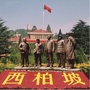 畅游平山ico