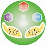超值超市公众号ico