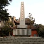 红色南平ico