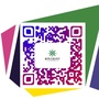 成华白莲社区青年ico