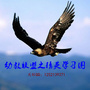 教育联盟之精英学习圈ico