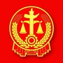 成都市中级人民法院ico