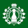 常青藤国际象棋ico
