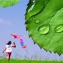 DSE信东升服务平台ico